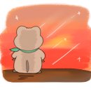 고성카써비스 이미지