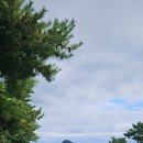 대호단양CC(대중제) | 단양대호CC 라운딩 후기｜뷰 끝판왕, 가을골프 추천하는 이유