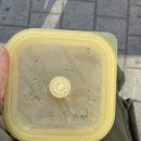 카페이틀 이미지