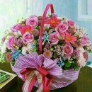 다애 카카오 검색결과