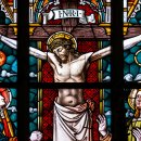 생명+중첩 이미지