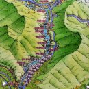 라제통문벚꽃길 이미지