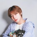 사진찍는날