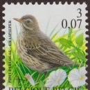 풀밭나라 이미지