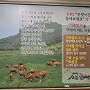 고집센그집갈비탕(울산야음점) 이미지