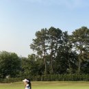 노*구 - 안양시 동안구 관악대로106번길 | (구)여주CC,(현)yjc골프클럽 9홀 2인플레이, 노캐디, 로봇카트 후기