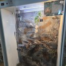 테이블에이 이미지