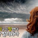 ﻿폭풍(종말)이 오고 있다:영화(TAKE SHELTER대피소,대피하라)﻿ 이미지