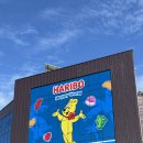 행운성인게임장 | [제주 가볼만한 곳] 하리보 해피월드 제주, 아이와 함께 여름 비오는날 실내 여행지 추천