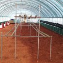 닭집아이 이미지