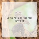 렌탈관리샵