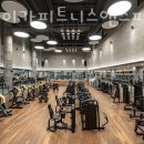 자마이카 피트니스 앤 스파 이미지