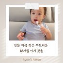 포에버리빙 - 영광군 옥당로 188 | 유아칫솔 추천 18개월 래디어스 퓨어베이비 칫솔 솔직후기