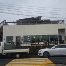 1192 | 제주애견동반식당 한적한 분위기 속 푸짐한 맛집 세프1192 레스토랑 후기