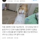 항소담외과의원 네이버블로그