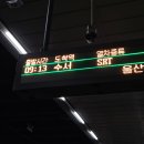 THE바리깡 | 두쫀꿍 보고 온 썰 푼다