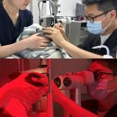 아이즈동물병원 | 강아지, 고양이 안과 전문 반포아이즈안과동물병원 검사비용 및 진료후기