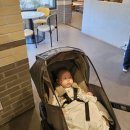 투썸플레이스 구미안가고택점 | 구미대형카페 투썸플레이스 구미안가고택점 두초생 먹기