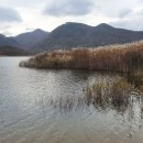 그린레이크 하우스 이미지