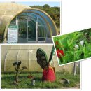 나비공원 이미지