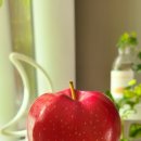 승진농장 이미지