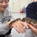 까꿍 헤어커커 | 수원 데이트추천 아이들도 같이가기 좋아요 수달앤쥬