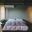 홀리호랑 이미지