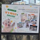 네이처스토리 | 대구 네이처파크 직접 다녀온 생생 후기! 가족과 함께 자연 속 힐링 여행