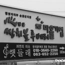 쌍치블루베리 이미지