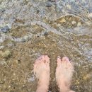 길손식당 앞 이미지