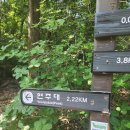부처님오신날 혼자 관악산 연주암·연주대 산행! 초보 등산로 후기와 절밥 비빔밥, 연등 찾기 성공 스토리