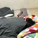 (주)제주친구 네이버블로그