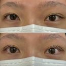중앙동238 | 안산 중앙동 [어텀래쉬] 파격적인 할인가 블랙틴팅 속눈썹펌 추천 후기