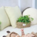 조양스튜디오 이미지