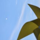 산하소소 이미지