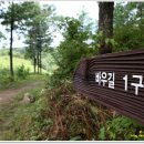 바우길 1구간 이미지