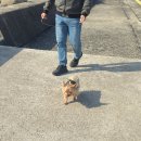 태신해안로 이미지