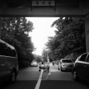 용인대가람태권도장 이미지