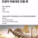 도마도마도 이미지