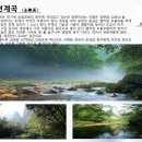 로얄관광주 이미지