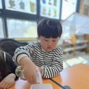 아)식목일을 알아 보아요 : 무순을 길러요🌱 이미지