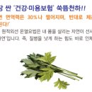 쑥뜸천하평안점