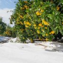 미란농장 이미지