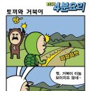 토끼와거북이 이미지