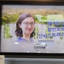 씨씨안경 네이버블로그