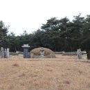 곡성-252 티스토리