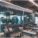 라이언짐 경안점 | 경안동헬스장"라이언짐 경안점 헬스&PT"저질 체력 운동 시작했어요