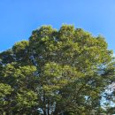 구슬내마을 이미지