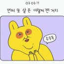 꿀닭강정 이미지