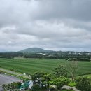 성읍리-11 이미지